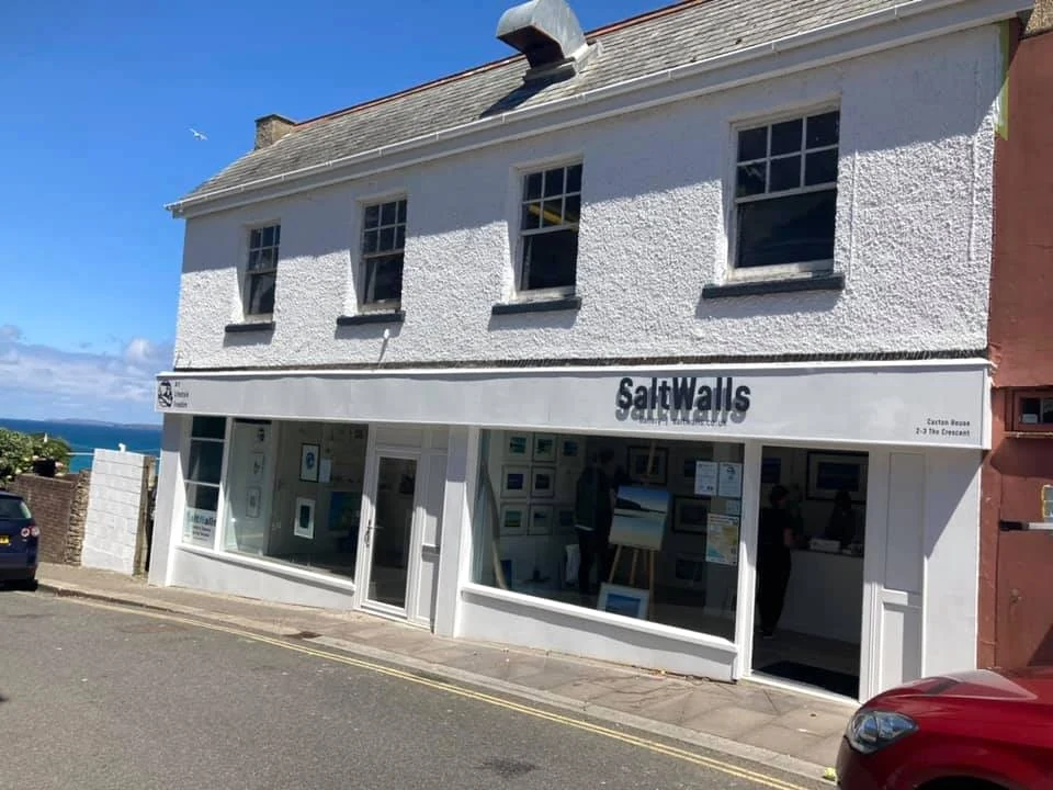 commercial painting white painted art gallery shopfront mumbles daffodil decor 15