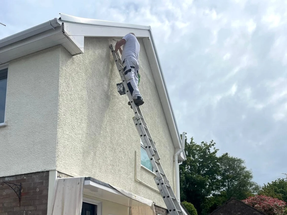 exterior painting painted pebbledash exterior swansea daffodil decor 9