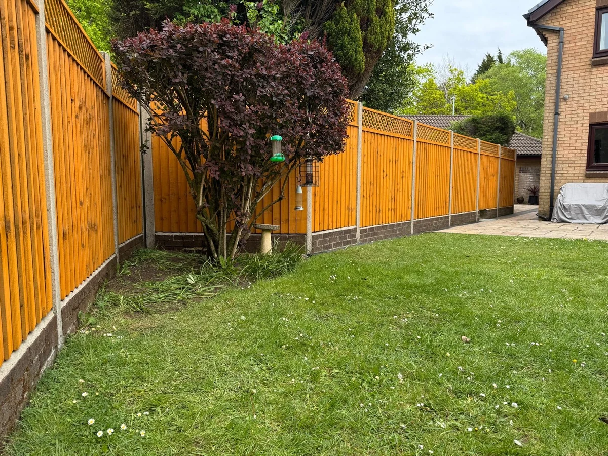 fence-painting-painted-fence-swansea-daffodil-decor fence painting painted fence swansea daffodil decor