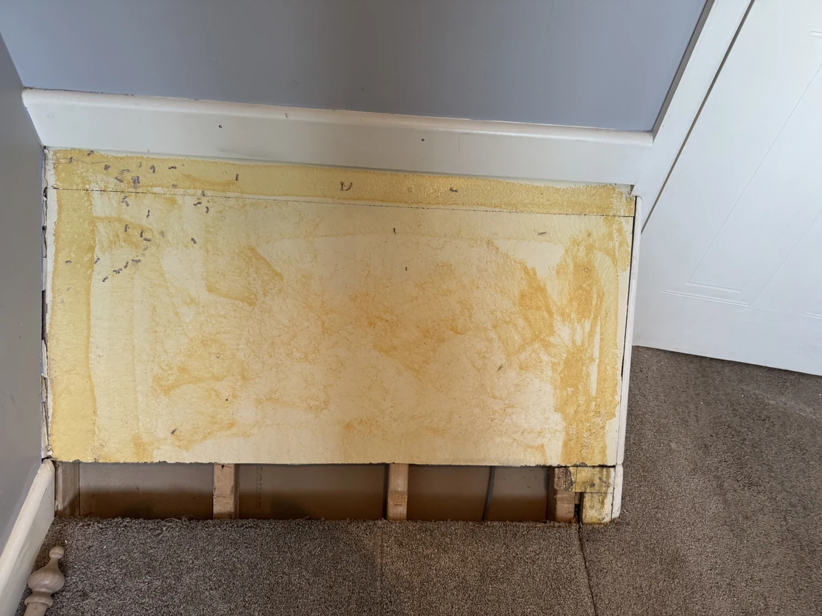 home-renovation-baseboard-skirting-detail-grey-wall-swansea-daffodil-decor Home renovation decorating in Swansea by Daffodil Decor, freshly painted grey wall with white skirting board detail