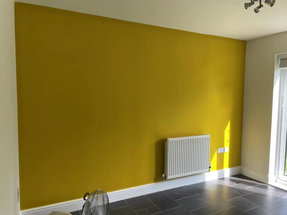 interior painting mustard yellow feature wall living room swansea daffodil decor 2